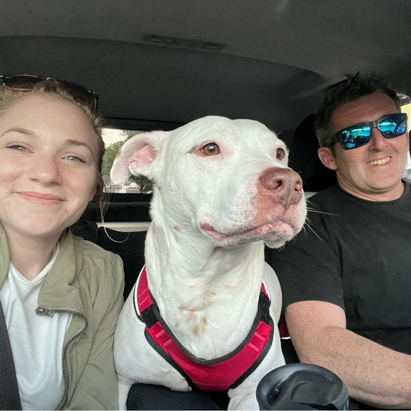 ✨READ ME! ✨ - Picture 10 of 11